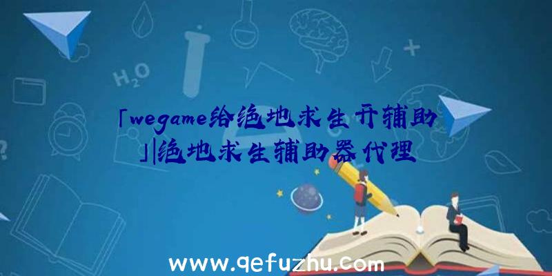 「wegame给绝地求生开辅助」|绝地求生辅助器代理